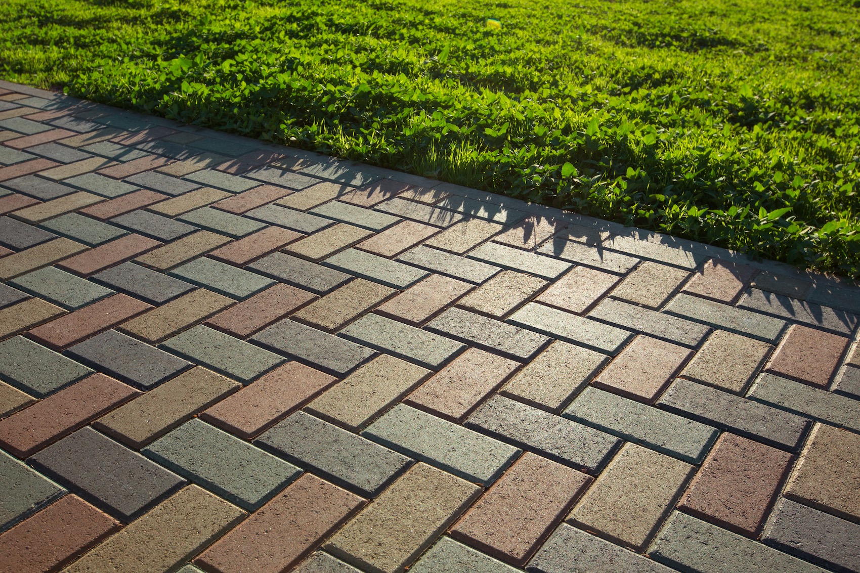 Paver Repair & Re-Sanding